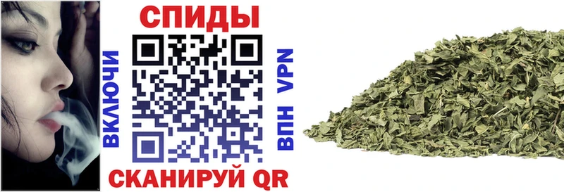 shop официальный сайт  Нововоронеж  Бутират буратино 