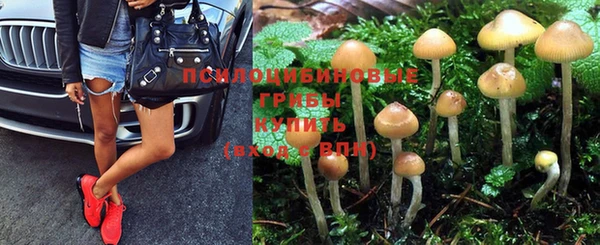 метамфетамин Алексеевка
