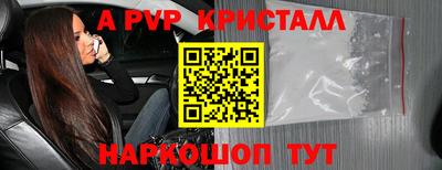 шишки Пугачёв