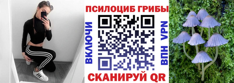Псилоцибиновые грибы мухоморы  Нововоронеж 