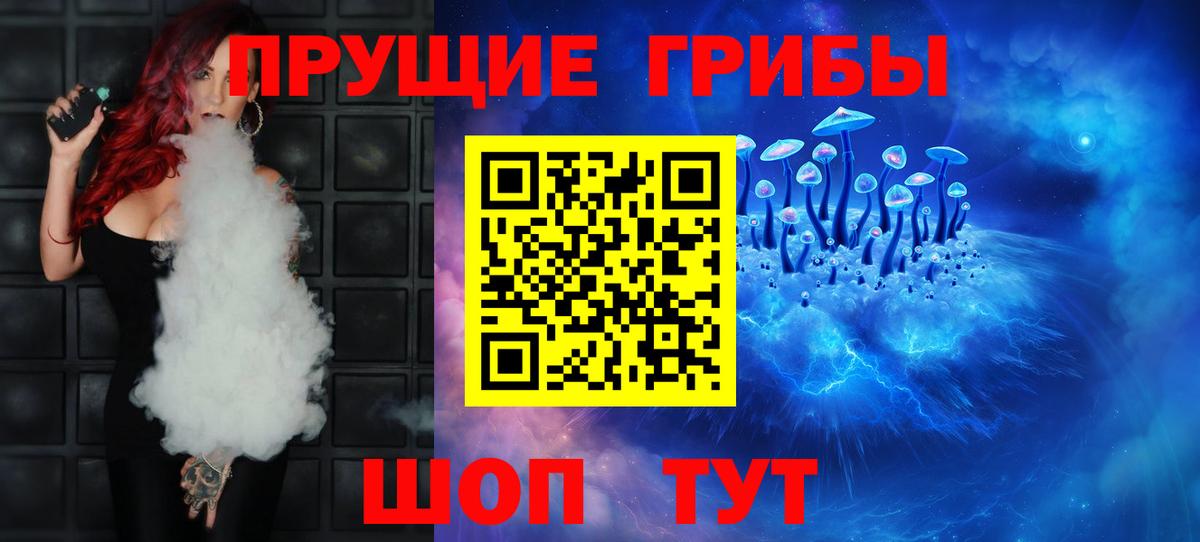 Нововоронеж  Галлюциногенные грибы Cubensis  Вход с VPN 